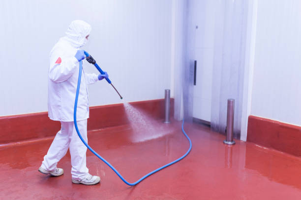 Best Warehouse Cleaning  in Pearl River, NY